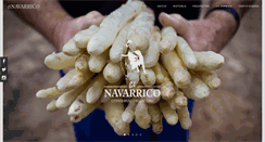 Desktop Screenshot of navarrico.com